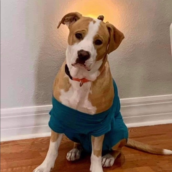 TB says make an offer!!! - Picture 1 of 5